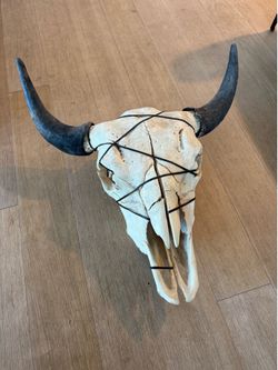 Real Cow Skull w/ Custom Leather Strip Adornment