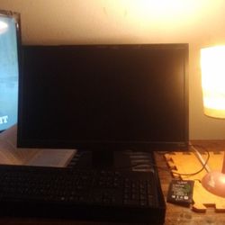 Two 21" Computer Monitor