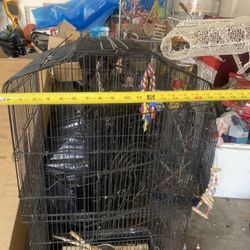 Bird Cage For Blue Front Amazon Birds 