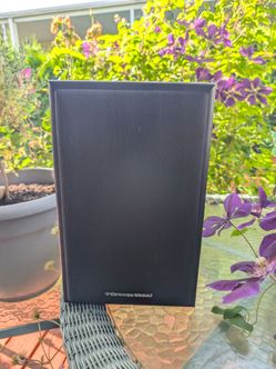 Cerwin Vega single speaker