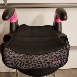 Evenflo Booster Car Seat