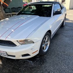 2010 Ford Mustang Convertible 