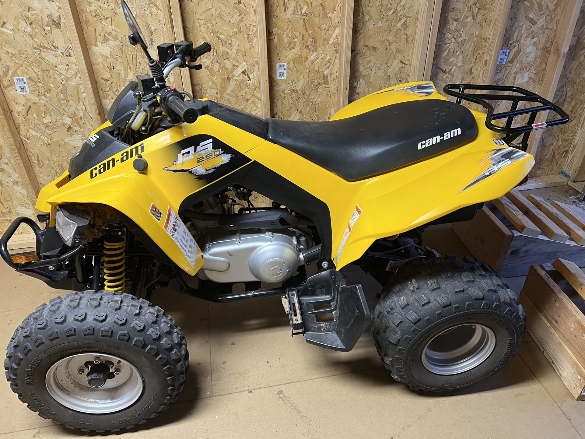 2019 Can Am DS 250