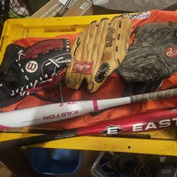 2 Baseball Bats 3 Gloves