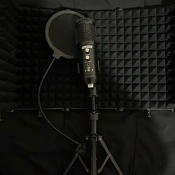 Swayk Tech Recording Mic