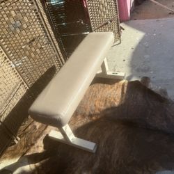 Weight Bench 
