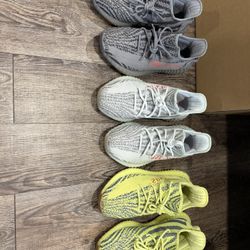 Yeezys Adidas Size 10