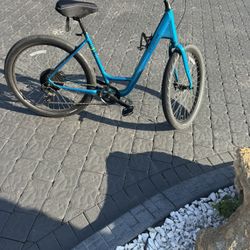 Bike (specialized Cruiser )