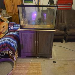 Fish Tank Stand And 30 Gallon Aquarium 