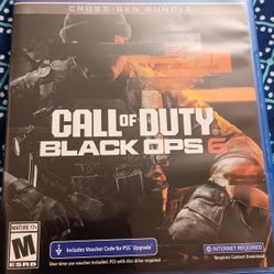 Call Of Duty Black Ops 6 PS4