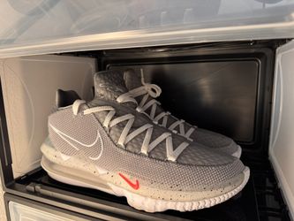 Lebron Nike Shoes