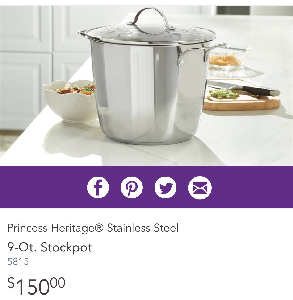Princess House Heritage Stainless Steel 9-Qt. Stockpot (5815 ) New In Box