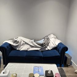 Lounge/Movie Room Couch