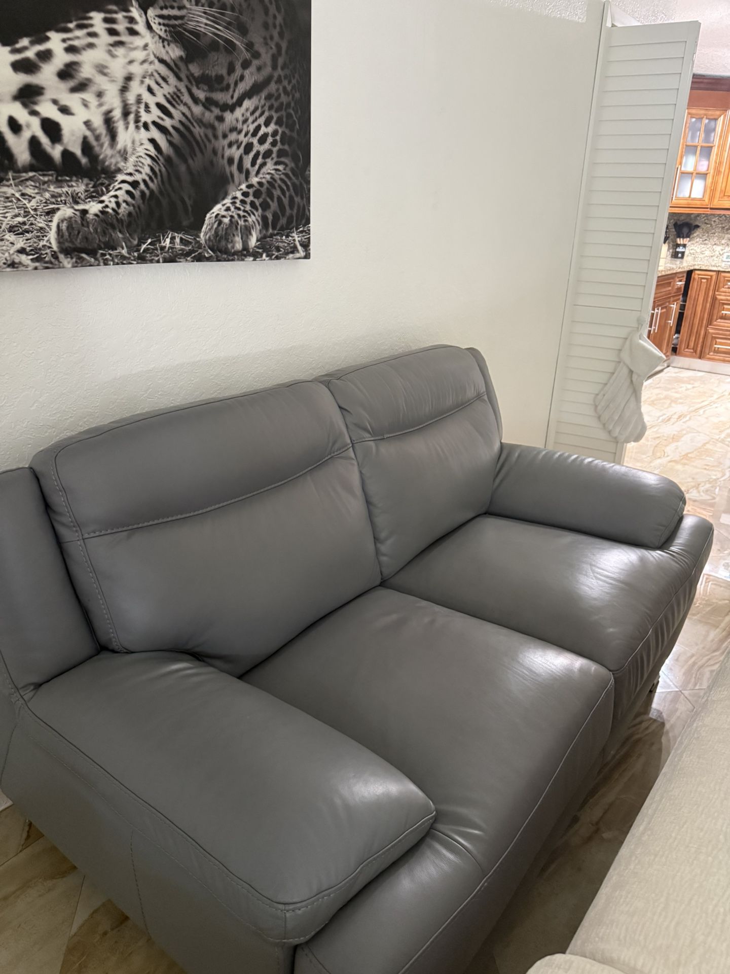 Gray leather sofa