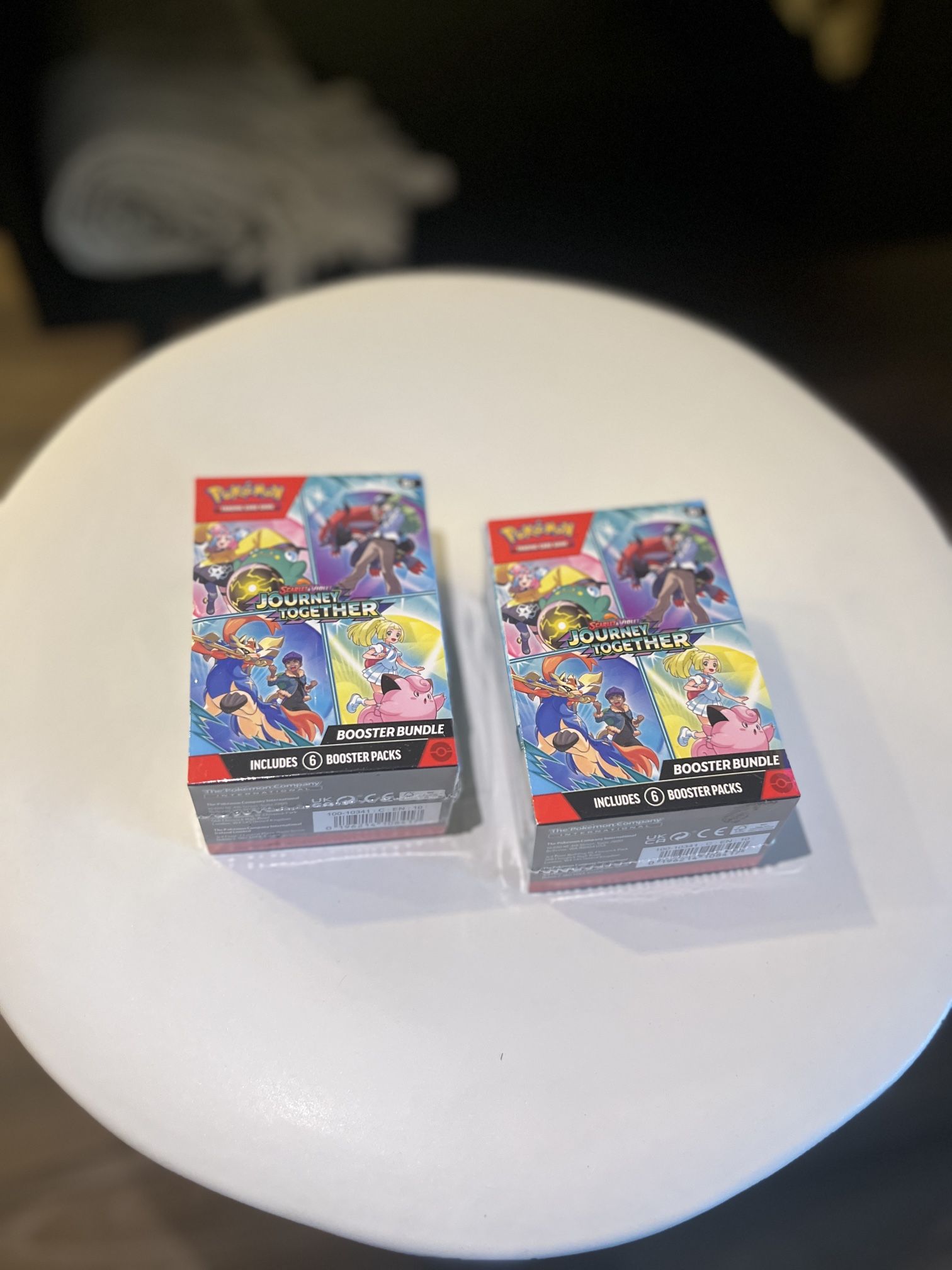 Pokémon Journey Together