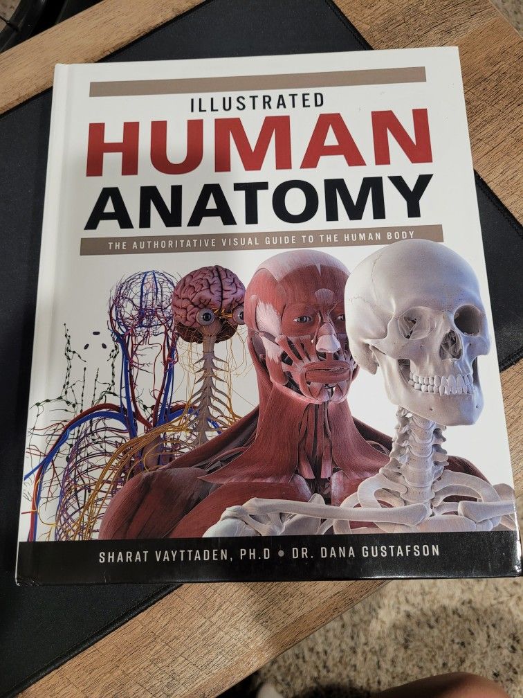 Human Anatomy Book