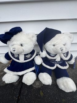2 Brand New Bears
