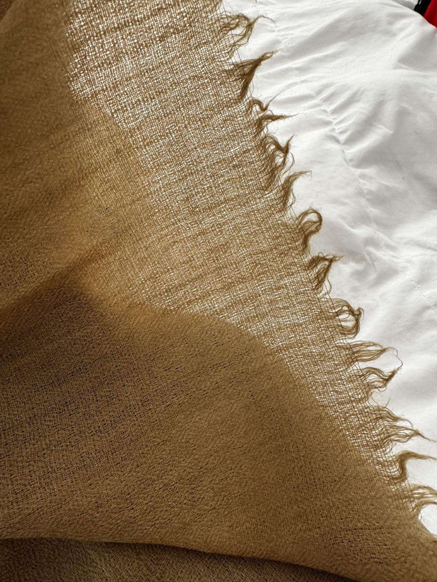 Genuine Pashmina (Cashmere) Shawl Brown Women's clothing