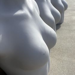 Women Female Chest Torso Mannequin Table Top Retail Pop Up Perfect 