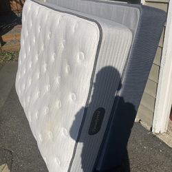 Free Full/Twin bed box spring/frame