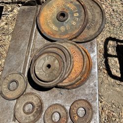 Weider Weight Plate Set 