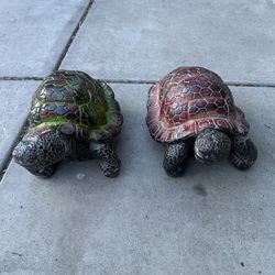 Cement Turtles 