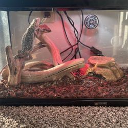 For Sale 
