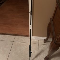 KastKing Baitcasting rod 2 piece