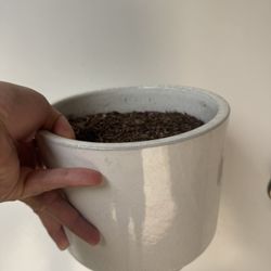 Flower Pot 