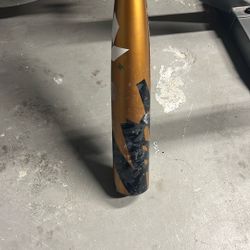 2022 Demarini Zoa (-10) Usssa 30 Inch