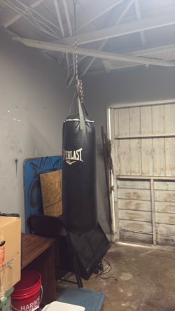 80 Lb Everlast Punching Bag