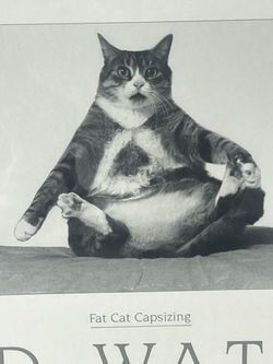 REDUCED PRICE—Cat Print