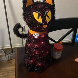 Rotating Head Cat