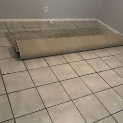 Free Rug!