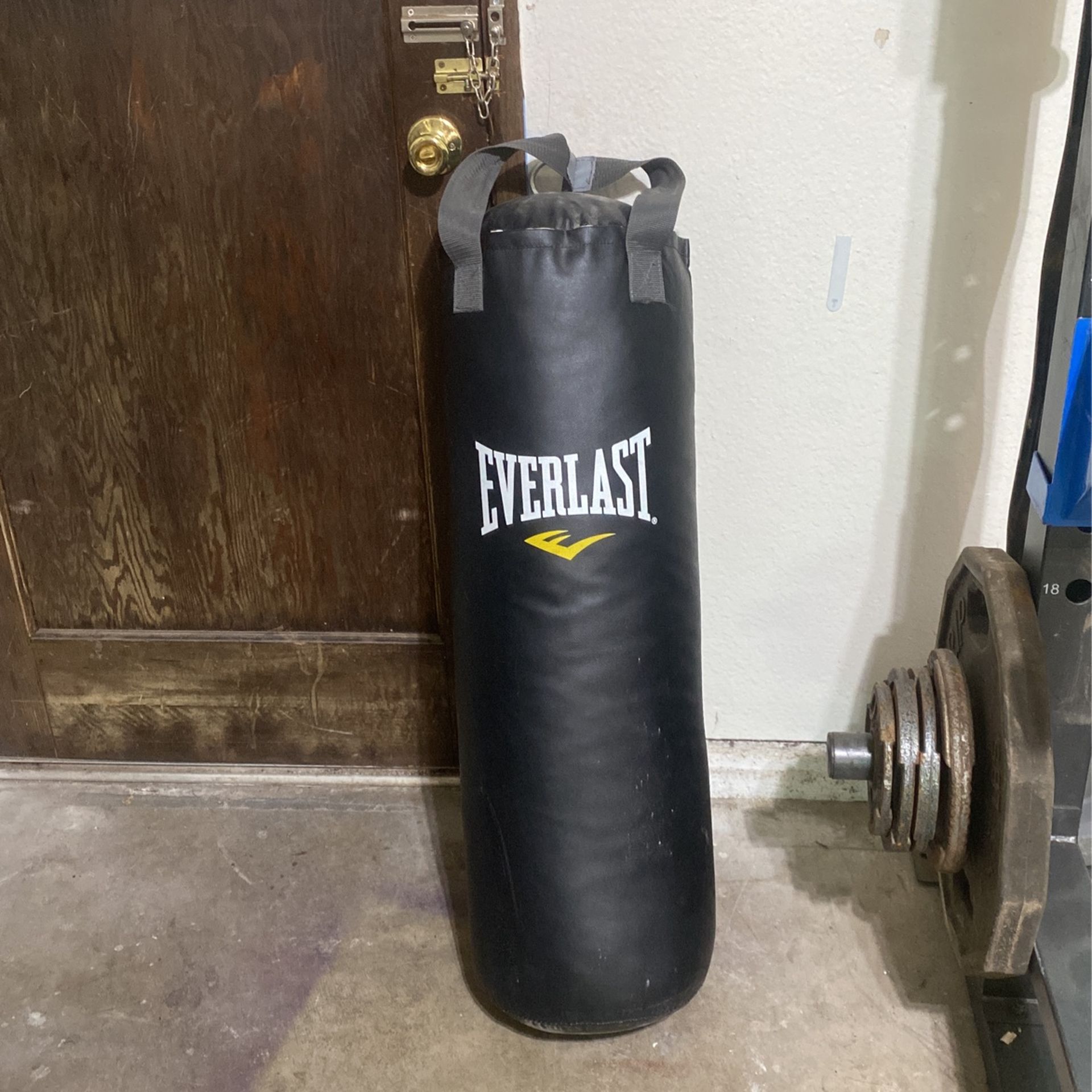 Everlast Punching bag
