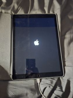 Apple iPad pro 12.9 inch Space Gray with Case