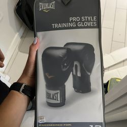 Everlast Pro Training Boxing Gloves