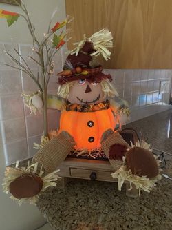 Fiber optic Light Up Pumpkin