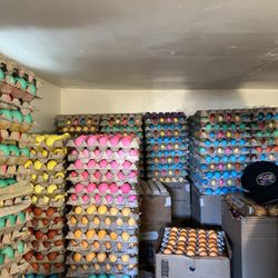 Easter Eggs 