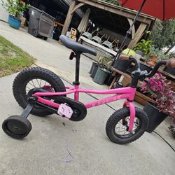Pink And Black bike Trek