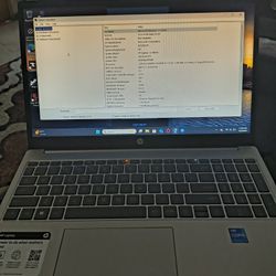 HP Laptop (New)