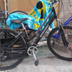 Nishiki Mountain Bike