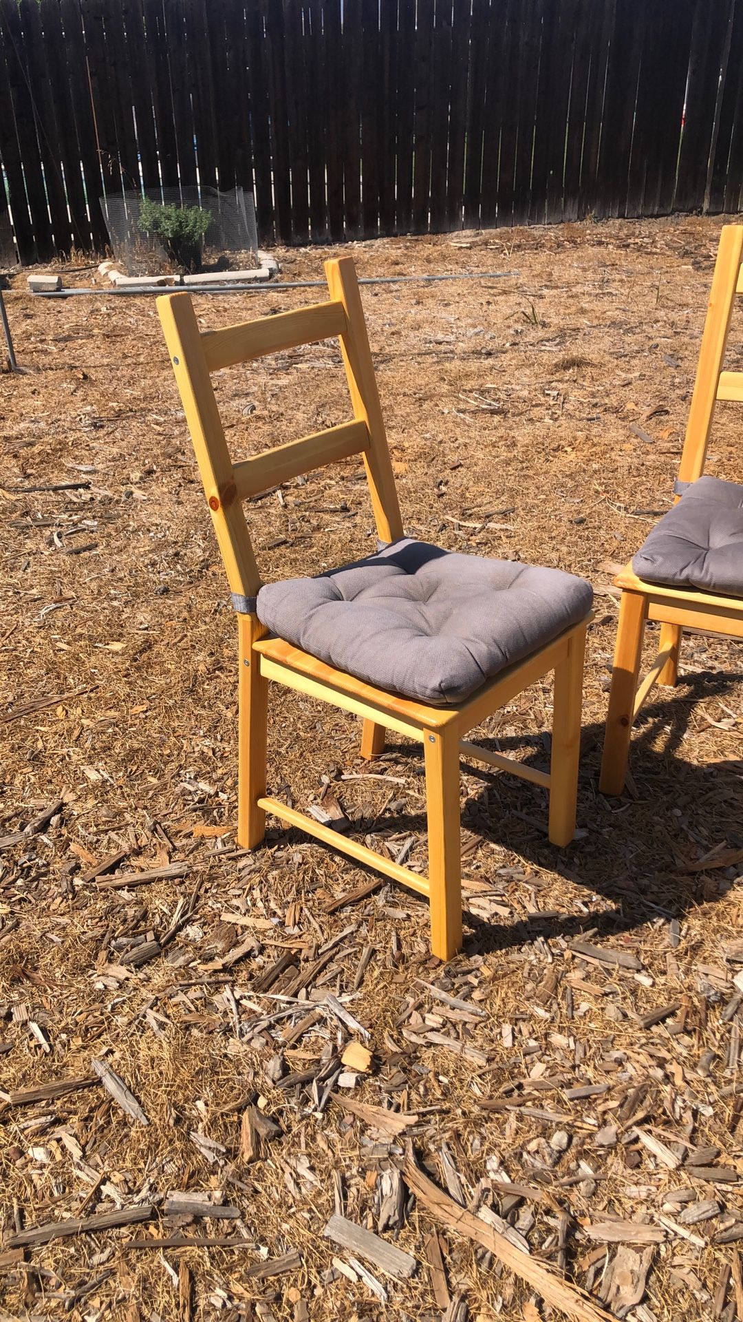 Pine Wood Chairs