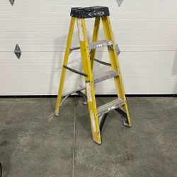 Werner 4 Ft. Fiberglass Ladder 