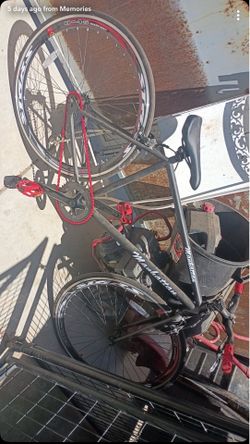Fixie bike