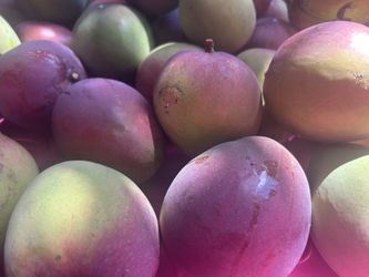 Mangos š„