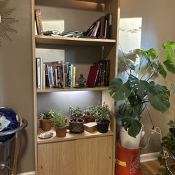 Bookshelf w/ Storage