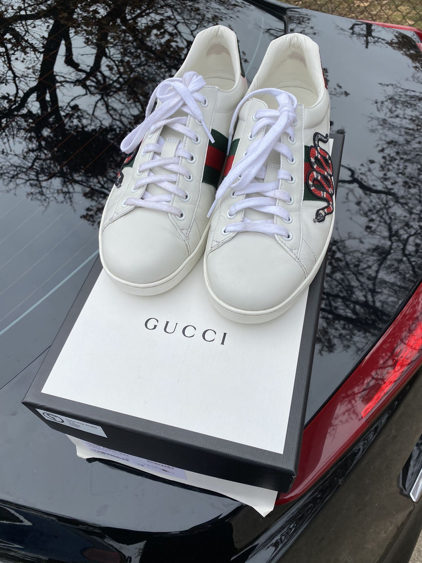 Gucci Ace Snake Sneakers