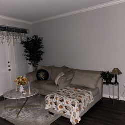 Beige Couches For sale 