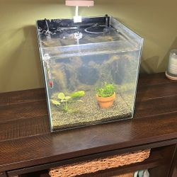 5.5 Gallon Fish Tank